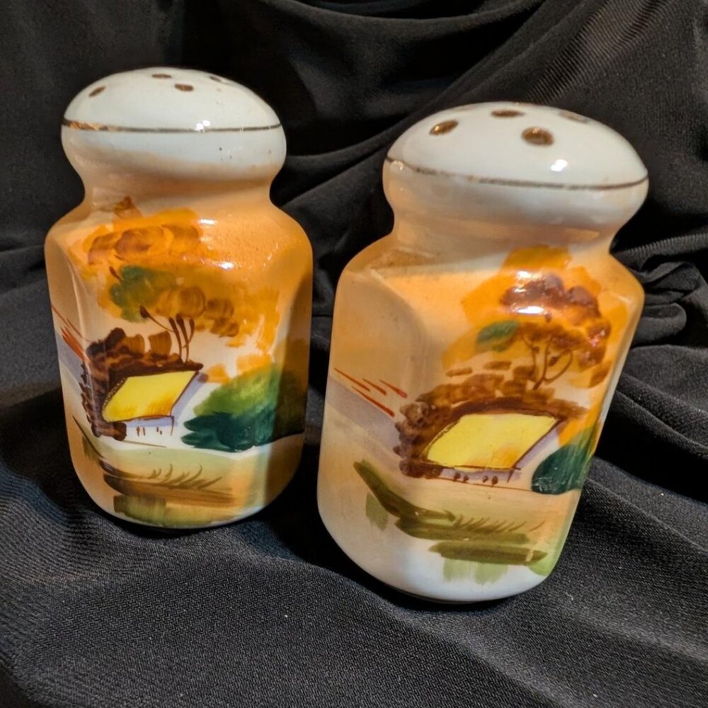 Nippon hand painted porcelain lusterware salt and pepper shakers with hand-paint